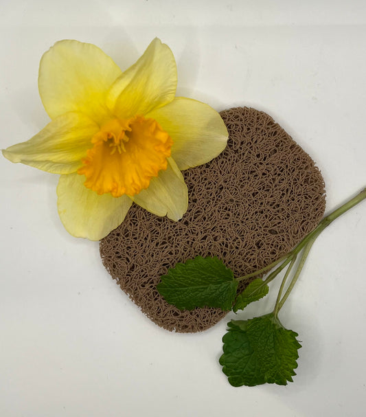 Soap Saver (Acorn)